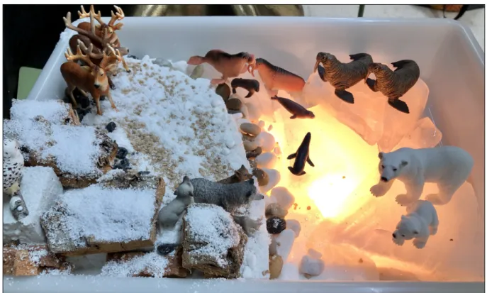 Figure 4: setting up the North Pole in the White Small World 
