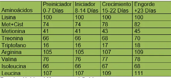 Tabla 6. Perfil ileal de proteína 