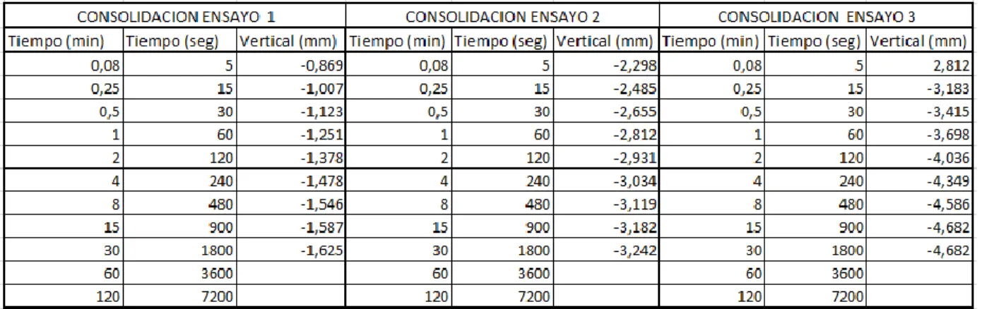 Tabla 13. Datos de Consolidación 