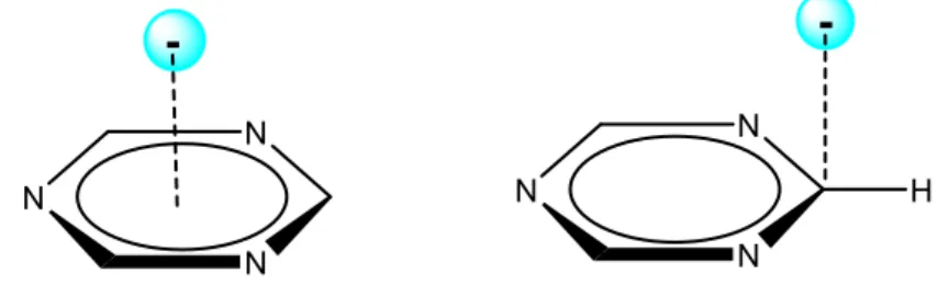Figura 1.16 Diferentes interacciones de un anión con un sistema  electrónicamente deficiente 
