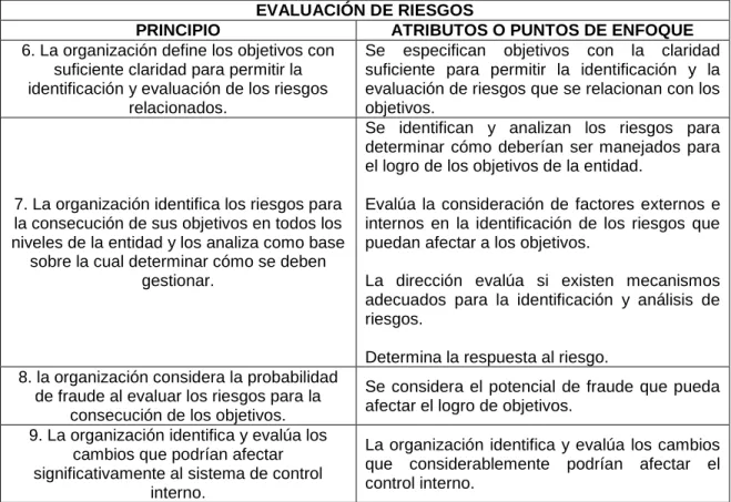 Cuadro 3. Atributos del componente evaluación de riesgos 