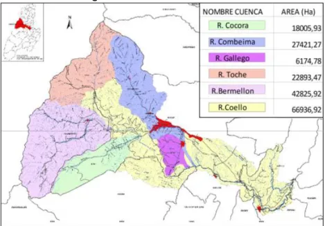 Figura 3. Clasificación Hidrográfica Río Coello. 