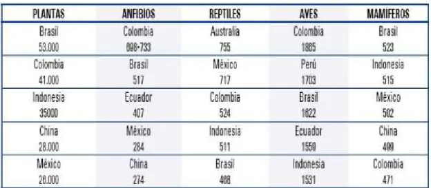 Tabla 3. Ranking mundial de biodiversidad  