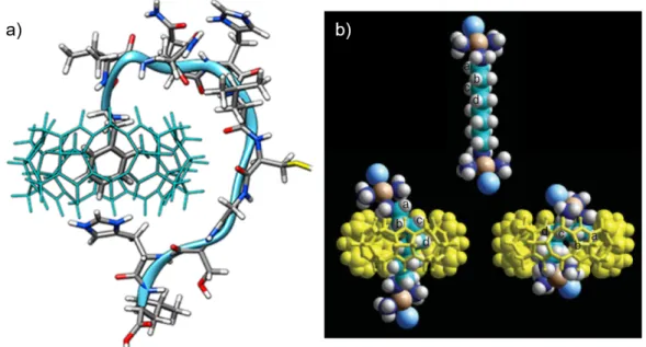 Figure  1.11.  a)  Lowest-energy  theoretical  structure  of  InsB  peptide  in  complex  with  CB[7]