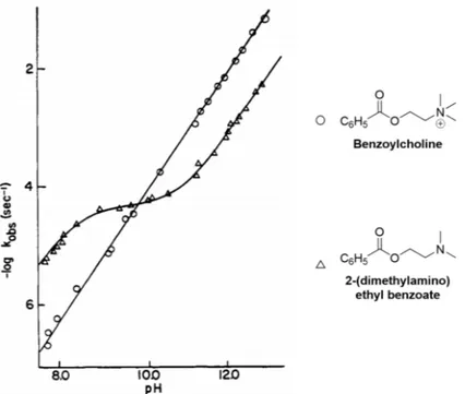 Figure 3.5.  Observed rate constants for the hydrolysis at different pH of benzoylcholine  (dots) and its dimethylated analogue (triangles)