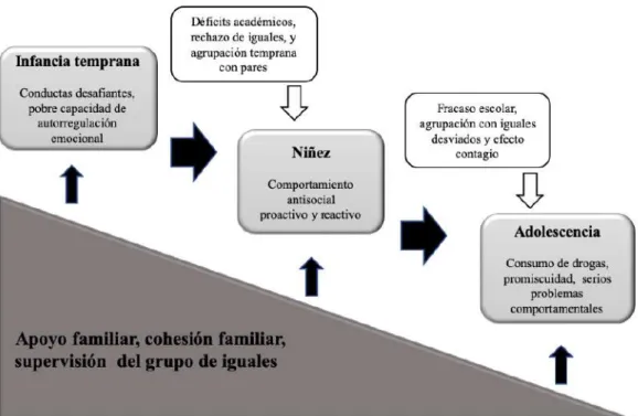 Figura 3. Modelo de desarrollo en cascada de las conductas disruptivas. 