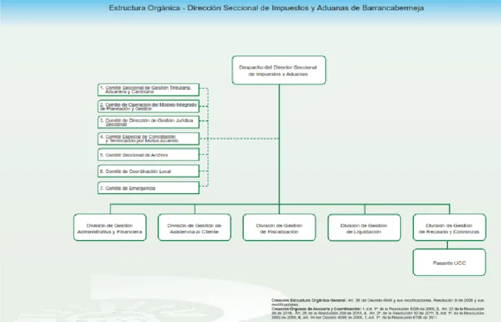 Ilustración 2. Estructura orgánica de la DIAN - Barrancabermeja. 
