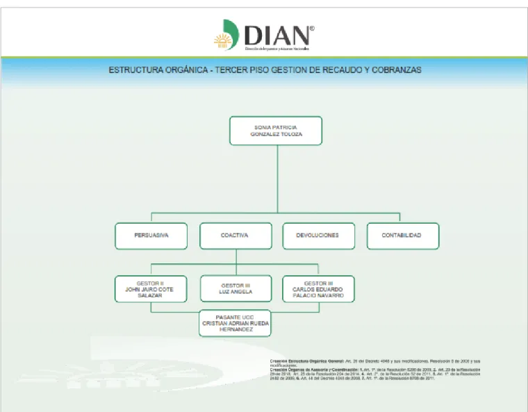 Ilustración 3. Estructura orgánica DIAN - Gestión de Recaudo y Cobranzas. 