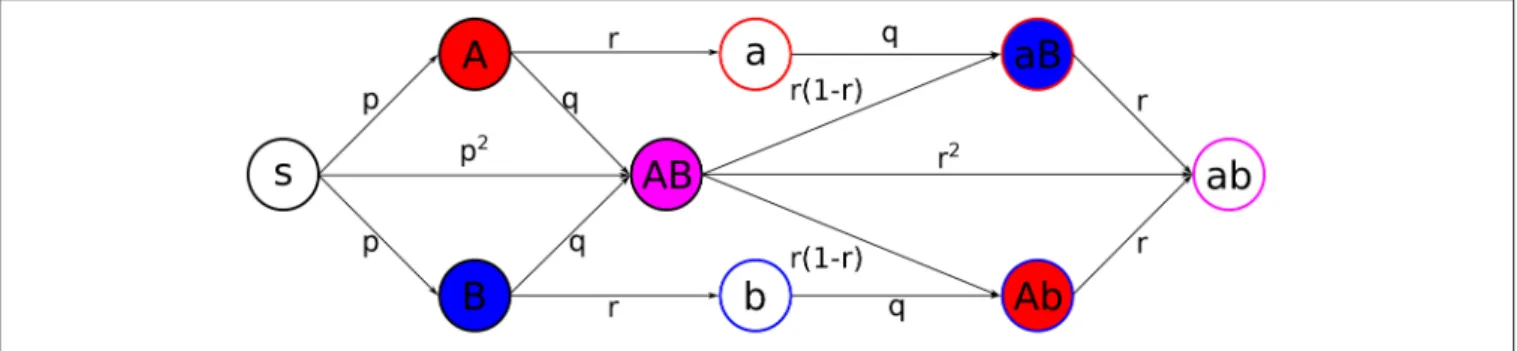FIGURE 2 | Scheme of the coinfection dynamics. Probabilities of transition, under the exposure to the suitable active states, between different states are depicted in the center of the arrows connecting states