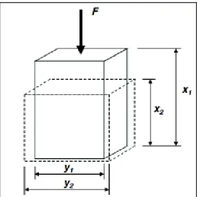 Figura 2.4 Deformación longitudinal y transversal de un bloque al aplicarle una  fuerza F