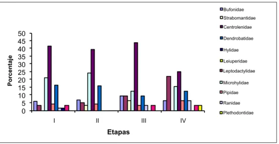 Fig. 5. Abundancia relativa de los anfibios-cuenca media del río Tiputini.