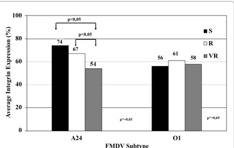 Figure 2: Level  of  expression  of  integrin  α V -β 3   in  PCF-BON  samples. 