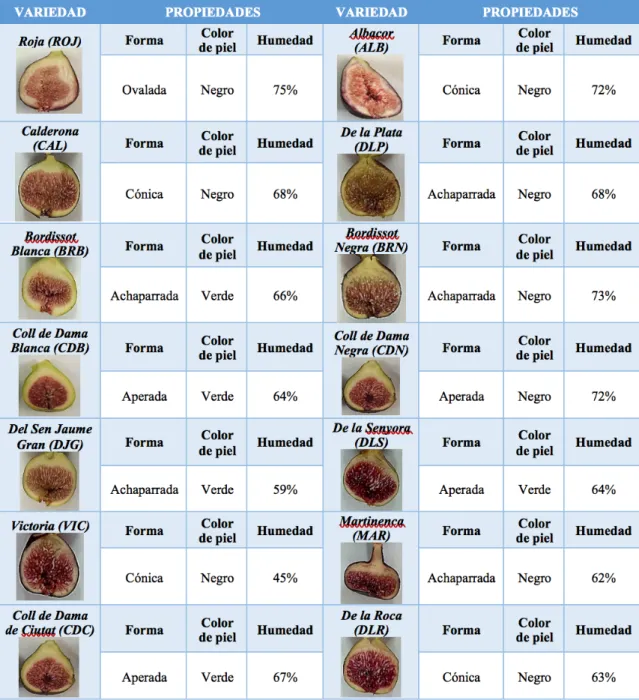 Tabla 2. Características y contenido en humedad de las 14 variedades de higo (Ficus  carica) analizadas en este estudio 