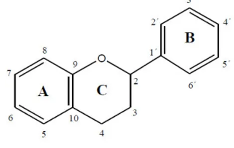 Figura 4. Estructura química general de los compuestos fenólicos flavonoides (González- (González-Centeno, 2013)