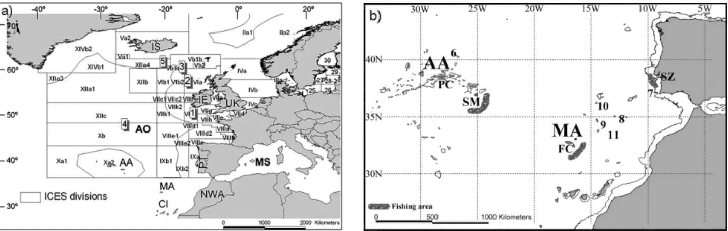 Table 1. – description of females and males maturity stages for black scabbardfish. 