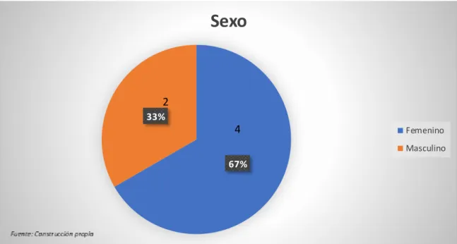 Gráfico  N° 7 