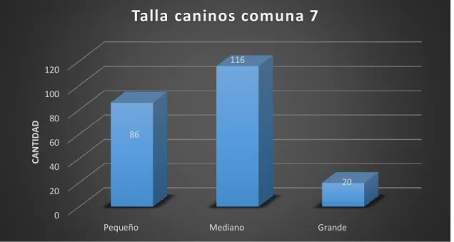 Figura 10 Talla caninos comuna 7 