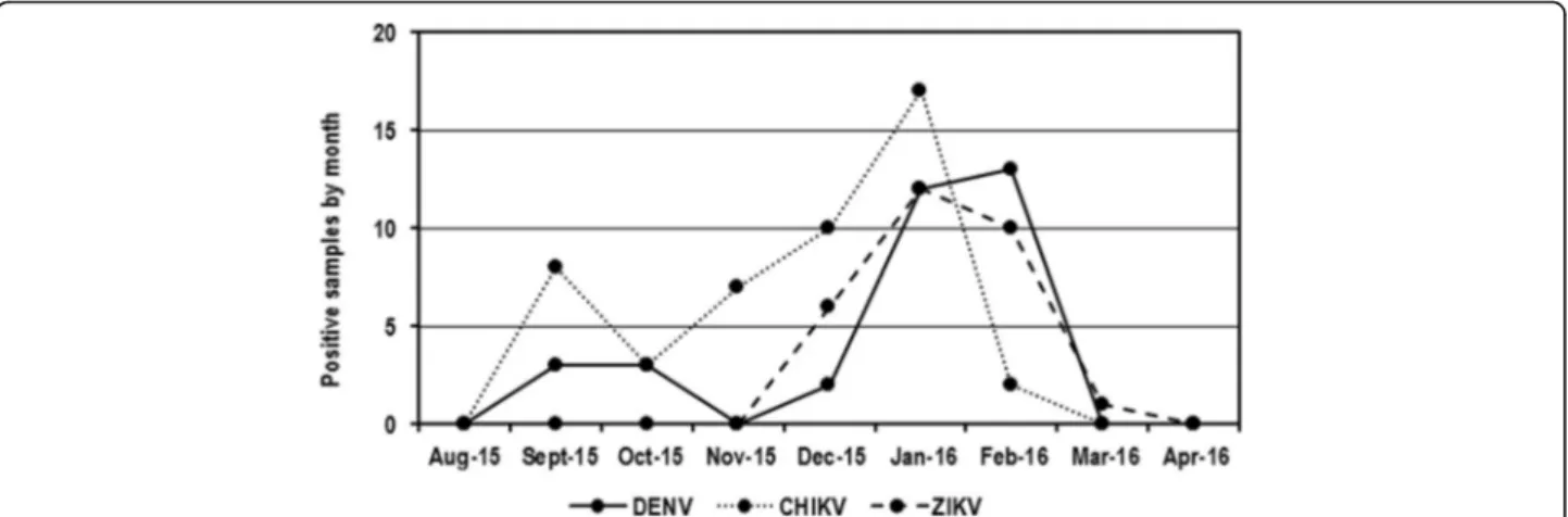 Fig. 2 Temporal distribution of infection by DENV, CHIKV, and ZIKV. In general, the largest number of cases (70.7%) were reported between December 2015 and February 2016