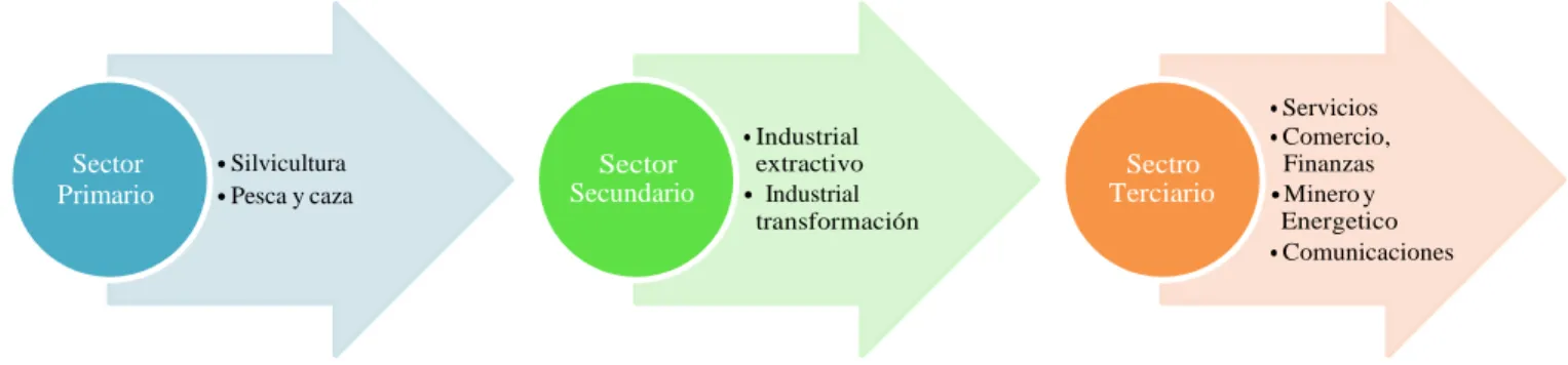 Figura 1. Clasificación de los Sectores Económicos 