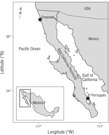 Figure 1. Location of the 2 fishery localities (black circles) on the Baja  California  Peninsula  (Mexico)  where  samples  of  Squatina californica were collected: the port of Ensenada and El Portugués fishing camp.