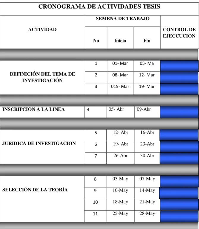 Tabla 5. Cronograma de actividades. 
