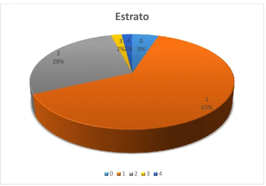 Figura 5 Estrato 