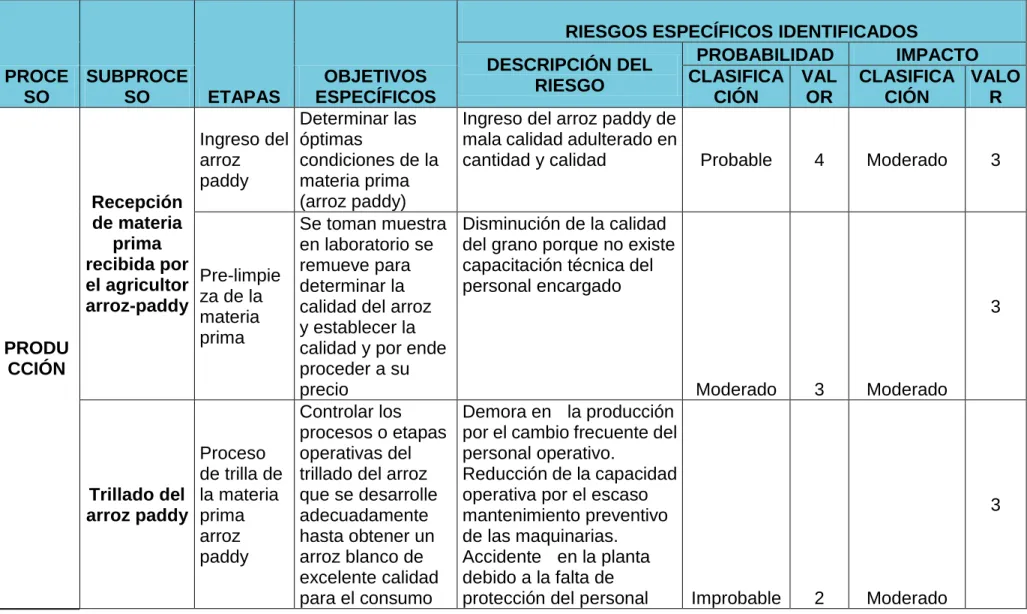 Cuadro 3 RIESGOS ESPECÍFICOS IDENTIFICADOS 