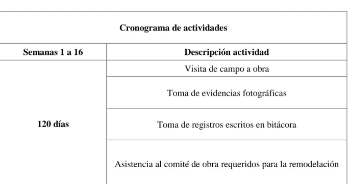 Tabla 1. Cronograma de actividades. 