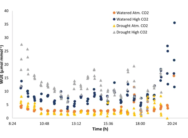 Figure 8. Water use efficiency as NCE/E (WUE, mol mmol -1 ) during day hours (from 9-20:30 h) for all  different  treatments  tested:  blue  circle  dots  for  “Watered  plants  at  atmospheric  CO 2   concentration”,  orange circle dots for “Watered plan