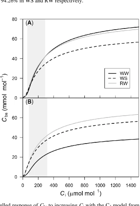 Figure 5. Modelled response of C bs  to increasing C i  with the C 4  model from von Caemmerer  (2000) in well-watered (WW; black continuous line) and water-stress conditions (WS; black  dashed line) and after 24h from rewatering (RW; continuous gray line)