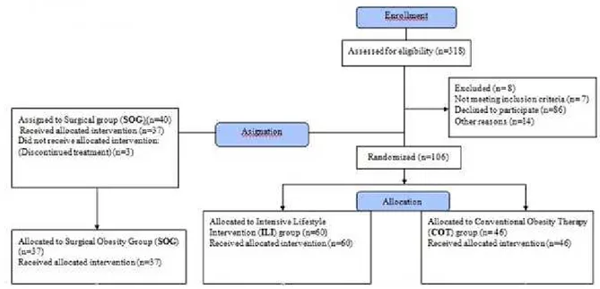 Figura 2: Diagrama de flujo CONSORT. Basal. 