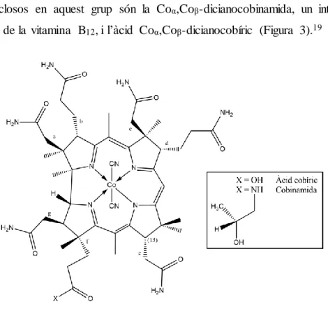 Figura 3. Estructura bàsica d’algunes de les cobalamines incompletes: àcid cobíric i cobinamida, ambdós  en  la  seva  forma  diciano