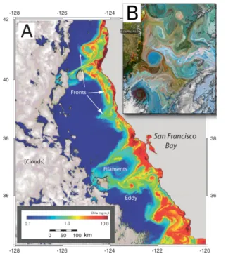 Figure 1.3: A: Ocean chlorophyll concentrations of the coastal California from SeaWIFS (Sea-viewing Wide Field-of-view Sensor) with some typical physical features annotated
