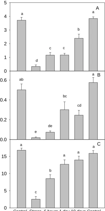 Figure 6: A) Leaf transpiration (E), B) stomatal conductance (g s ) and C) net CO 2  assimilation rate (A N ) at  different  times  after  irrigation