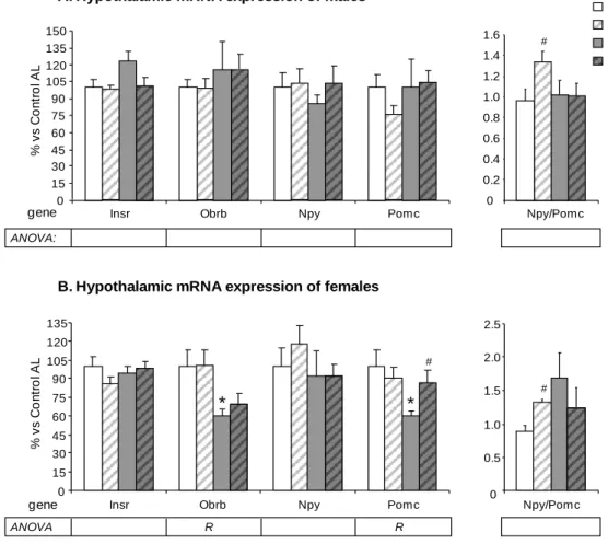 Figure  5.  mRNA  expression  levels  of  insulin  receptor  (Insr),  long  form  leptin  receptor  (Obrb),  neuropeptide Y (Npy) and proopiomelanocortin (Pomc), and the Npy/Pomc ratio in the hypothalamus of  male  (A)  and  female  (B)  offspring  of  con