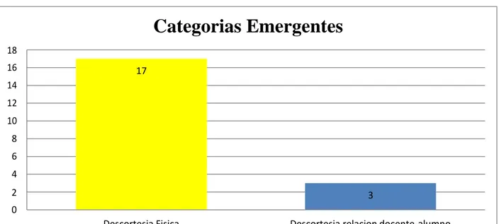 Figura 3. Resultados de las categorías emergentes. 