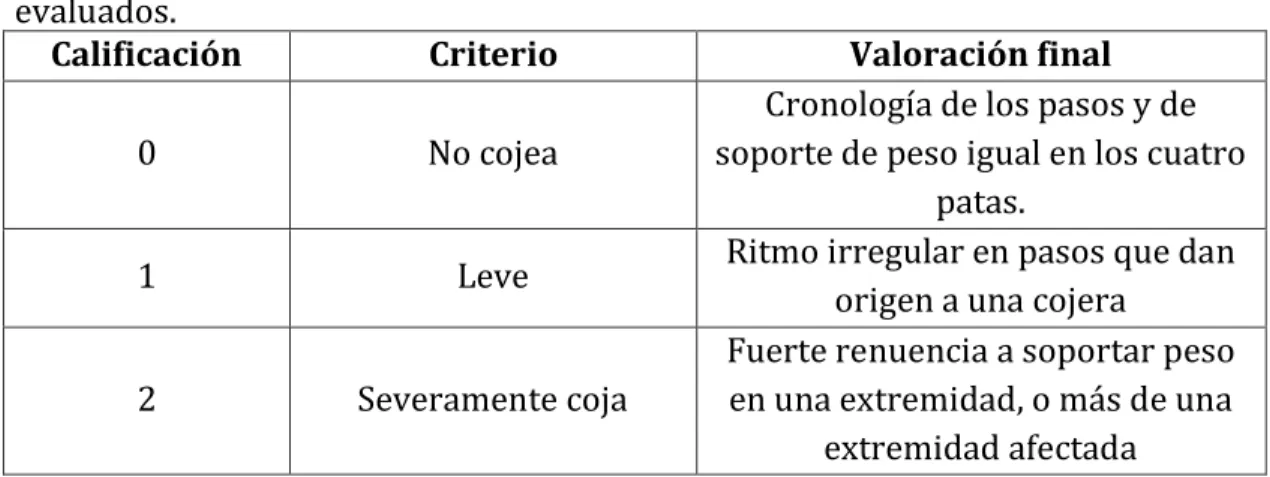 Tabla 9. Escala de calificación grupal de los bovinos de levante evaluados para la  prueba de cojeras