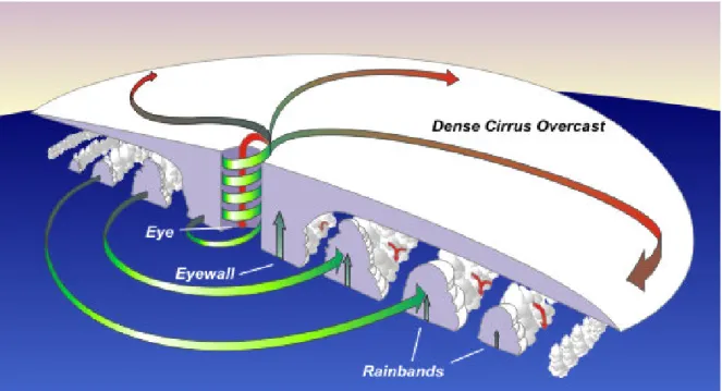 Figure 1.3.1: The main parts of a tropical cyclone are the rainbands, the eye, and the eyewall (image from NOAA website).