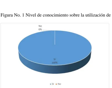 Figura No. 1 Nivel de conocimiento sobre la utilización de las Tic 
