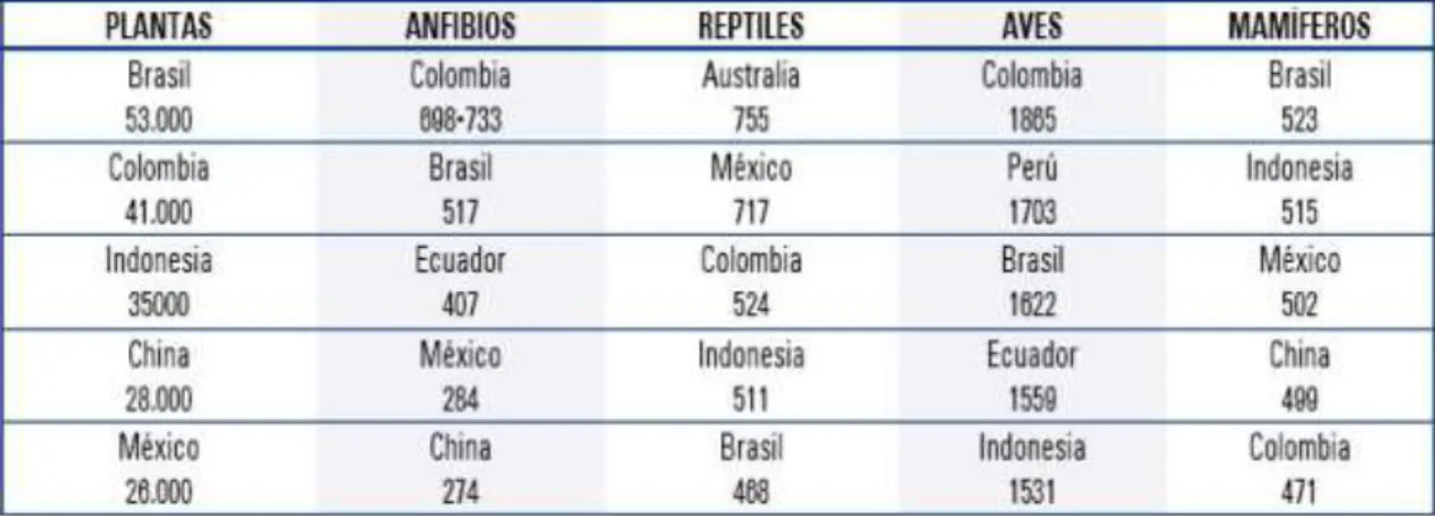 Tabla 3. Ranking mundial de biodiversidad 