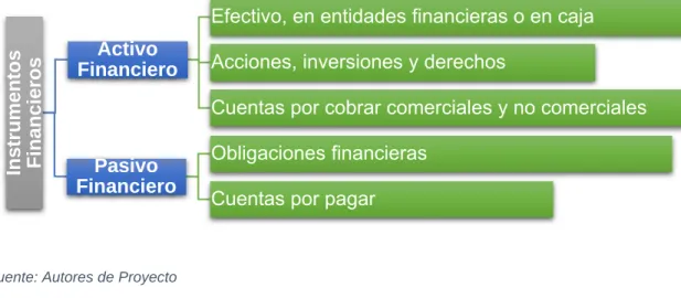 Ilustración 1 Instrumento Financiero 