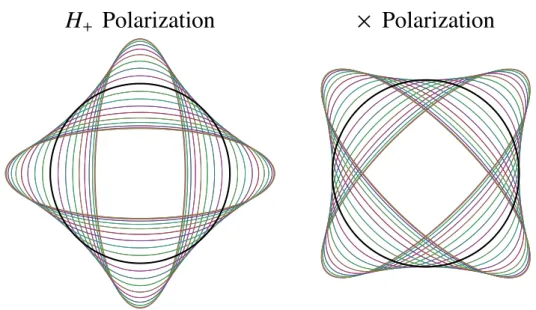 Figure 1.2: Effect of the two GW polarizations in a set of test particles set on a circle around a locally inertial observer.