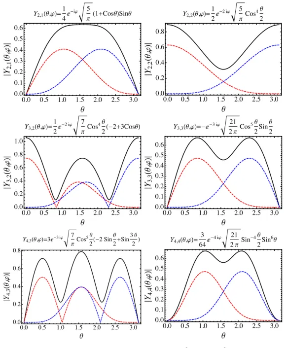 Figure 2.7: Absolute value, as a function of θ, of Y `,m −2 (red), Y `,−m −2 (blue) and the doublet D `,m = a `,m Y `,m−2 + a `,−m Y l,−m−2 , in black with a `,m = 1 + i and a `,−m = ( −1) ` a ∗ `,m 