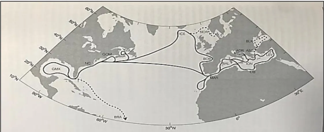 Figure 1.4. Migratory pathways for Atlantic bluefin tuna in the Atlantic Ocean. From Teo  and Boustany (2016)