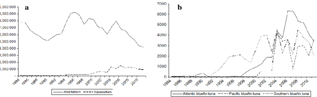 Figure 1.8. a) Compared production of bluefin tuna species. This production does not include  the data from Japan