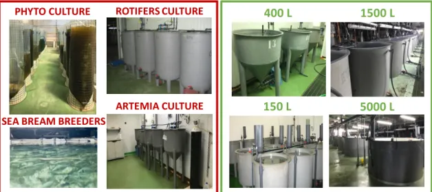 Figure 2.2. Several images of the equipment of the facility used during this Ph.D. thesis