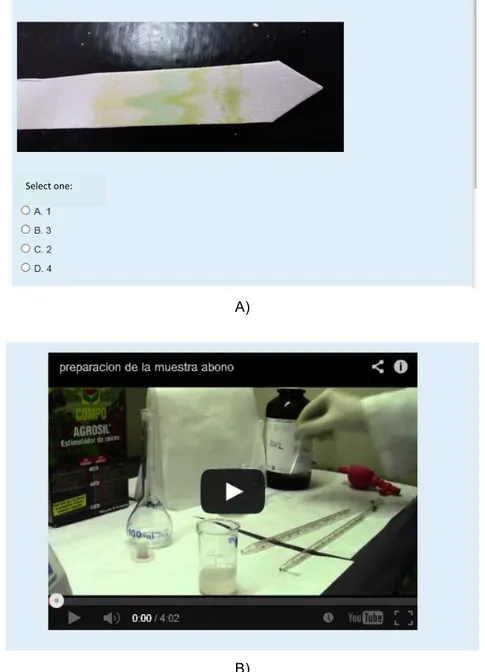 Figure 1. Illustrative examples of images and videos used in Moodle questionnaires in pre-lab tests