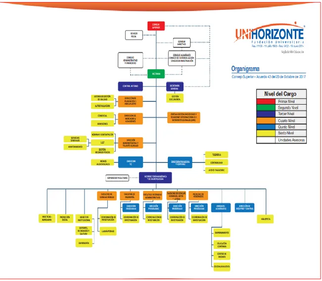 Ilustración 7. Organigrama de UNIHORIZONTE 