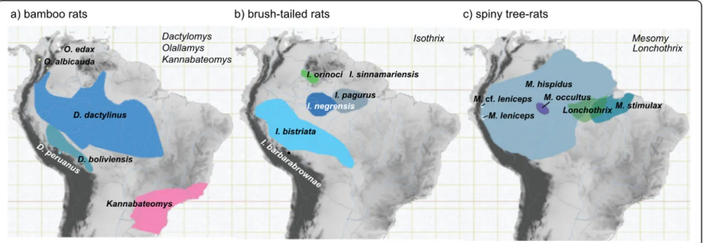 Figure 2 Geographic ranges of target clades examined in this study (Andean species are noted in parentheses)