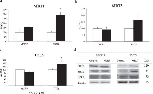Fig. 1. SIRT1 protein levels in response to GEN-treatment in T47D and MCF-7 breast cancer cell lines (a)